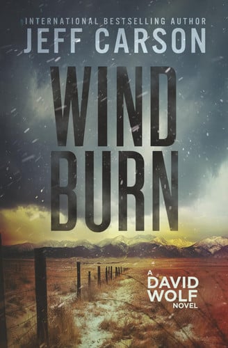 Wind Burn (David Wolf Mystery Thriller Series) by Carson, Jeff