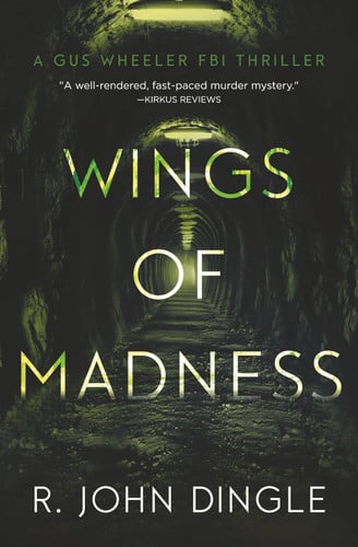 Wings of Madness by R. John Dingle