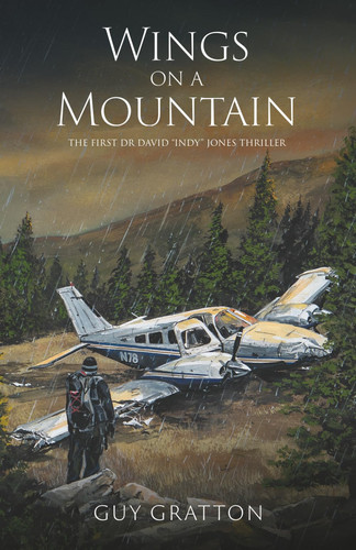 Wings on a mountain: The first Dr David "Indy" Jones Thriller by Gratton, Guy