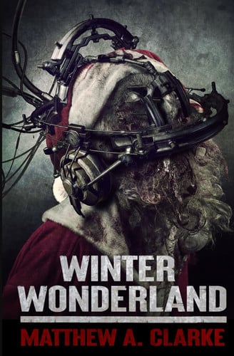 Winter Wonderland by A. Clarke, Matthew