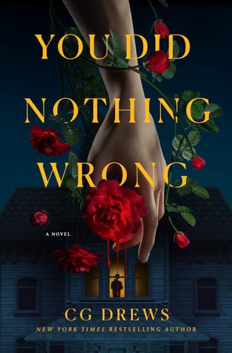 You Did Nothing Wrong A Novel by CG Drews